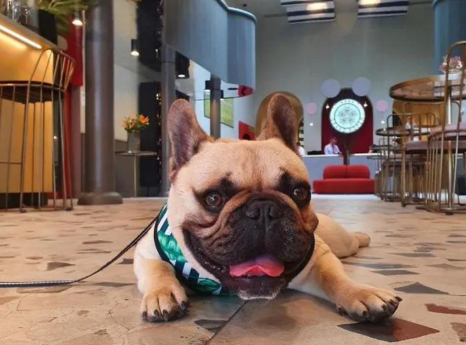 Grand 호텔 코페르